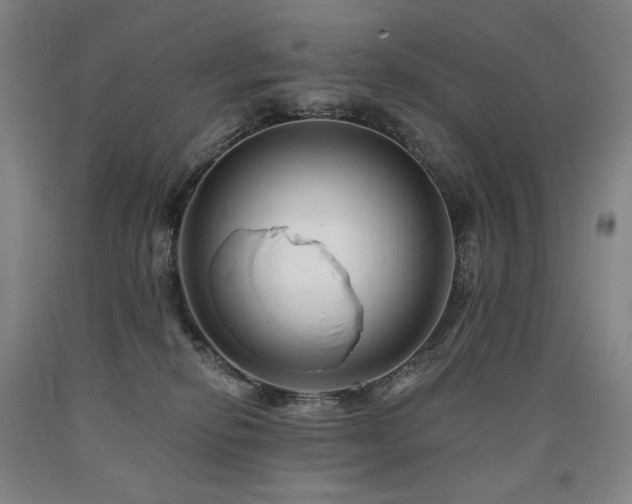 X0000090930278200707301602