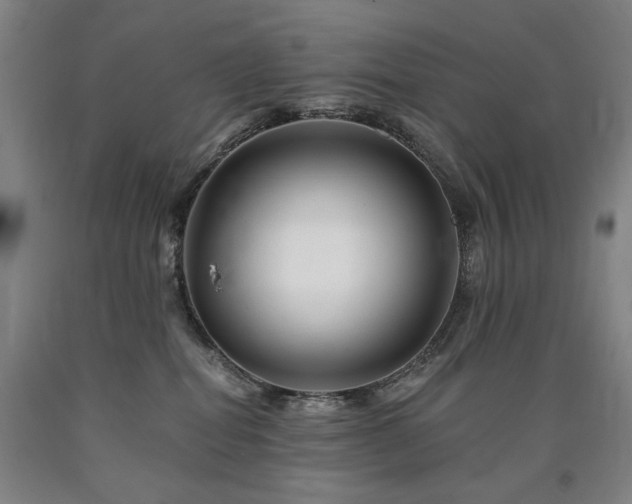 X0000090930282200707301602