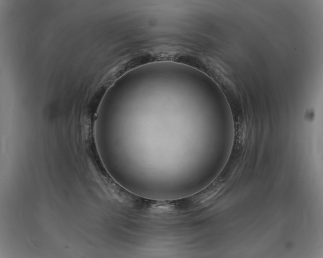 X0000090930283200707301602