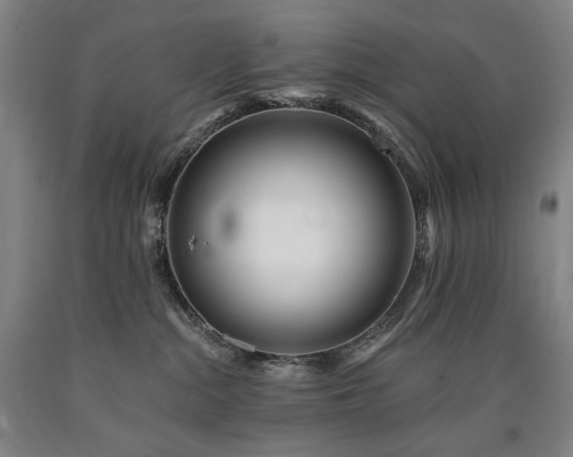 X0000090930284200707301602