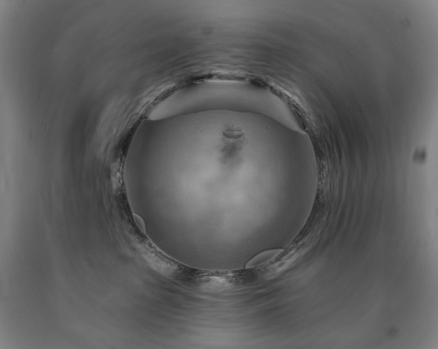 X0000090930285200707301602