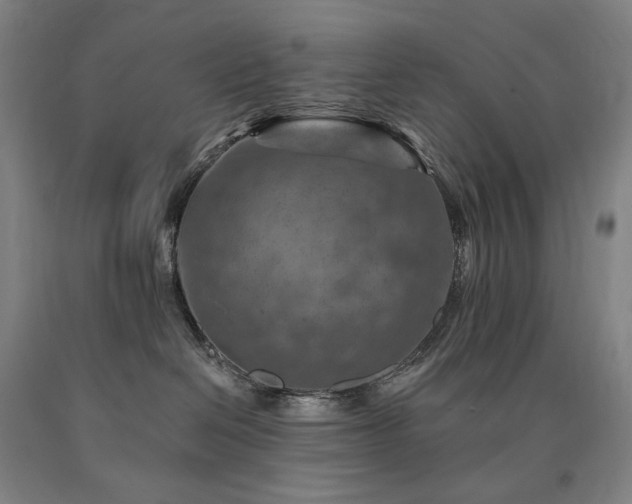 X0000090930286200707301602