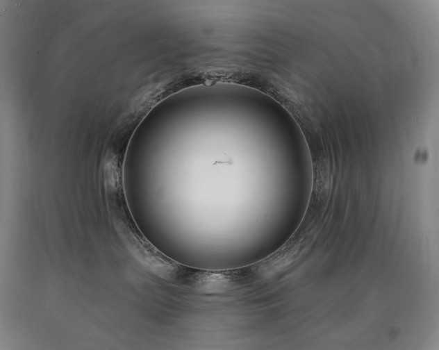 X0000090930287200707301602