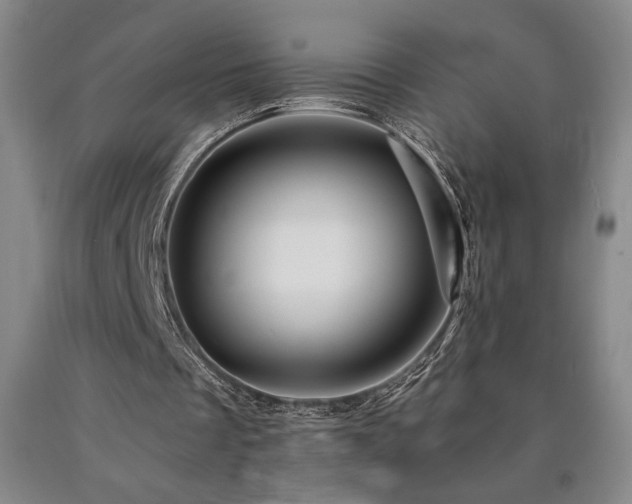 X0000090930289200707301601