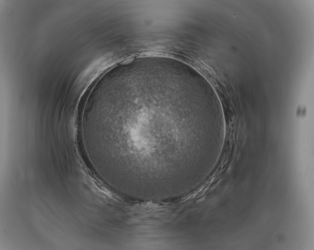 X0000090930290200707301601