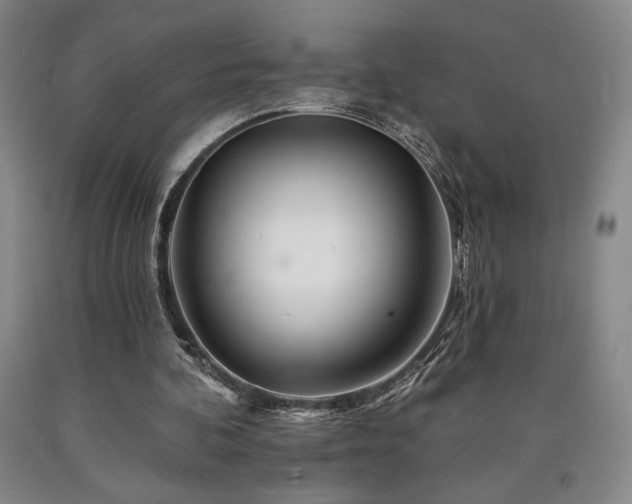 X0000090930292200707301601