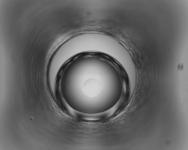 X0000090930293200707301601
