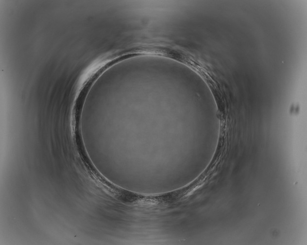 X0000090930294200707301601