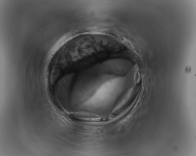 X0000090930295200707301601