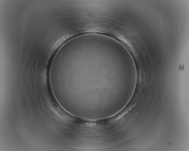 X0000090930298200707301601