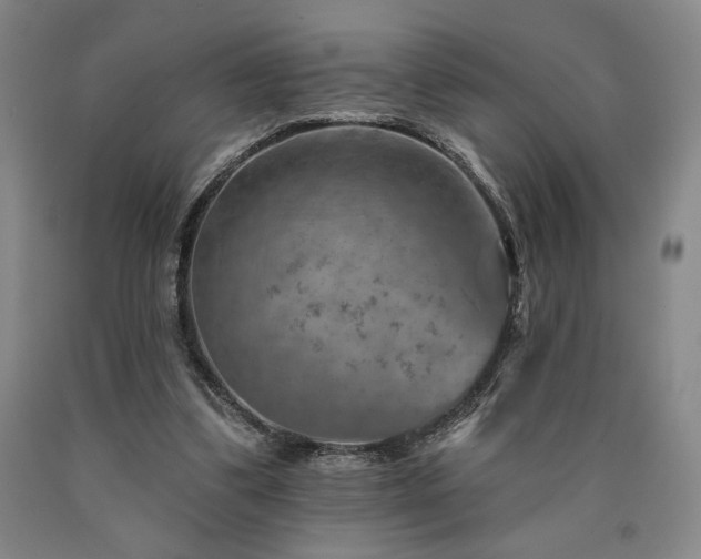 X0000090930299200707301601