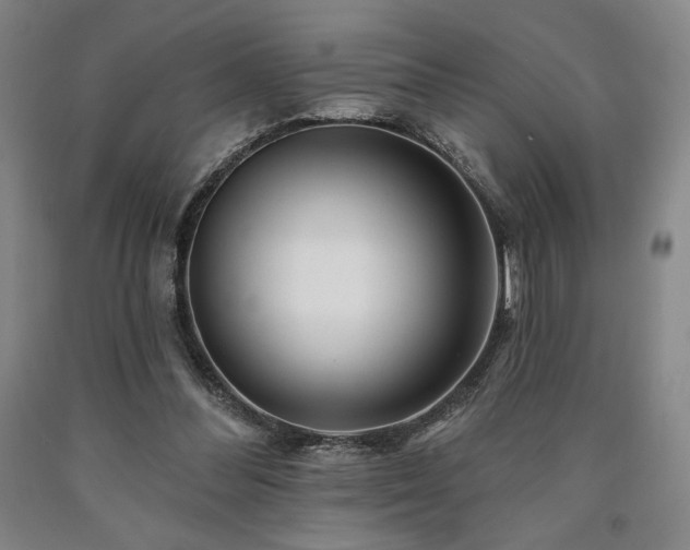 X0000090930300200707301601