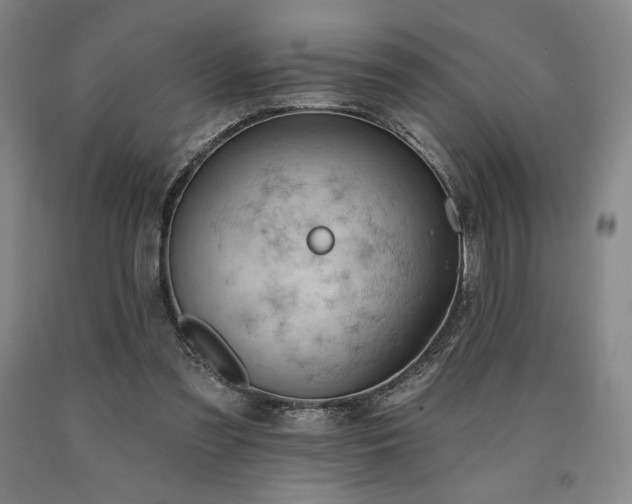 X0000090930301200707301601