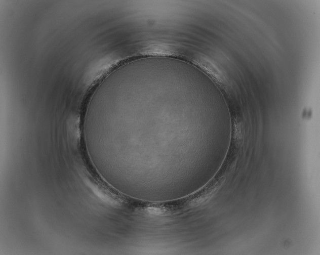 X0000090930302200707301601