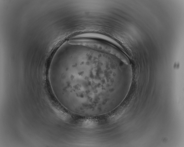 X0000090930303200707301601