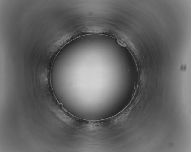 X0000090930305200707301601