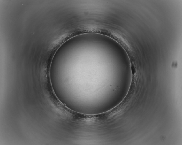 X0000090930306200707301601