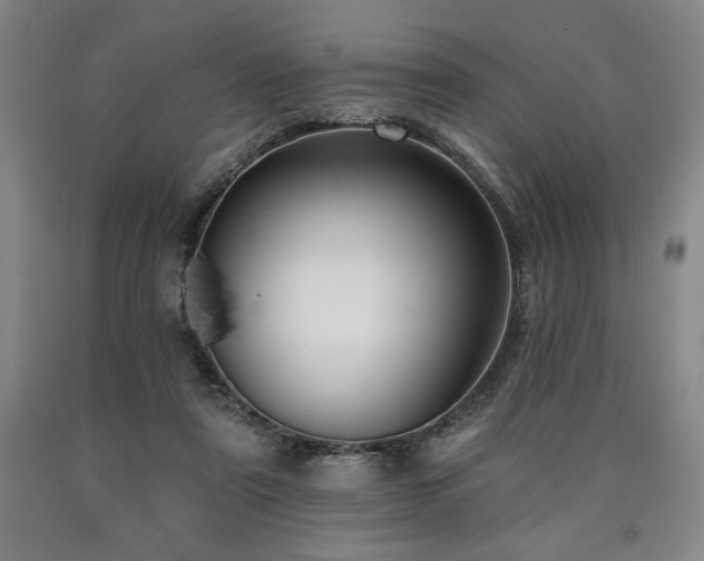 X0000090930307200707301601