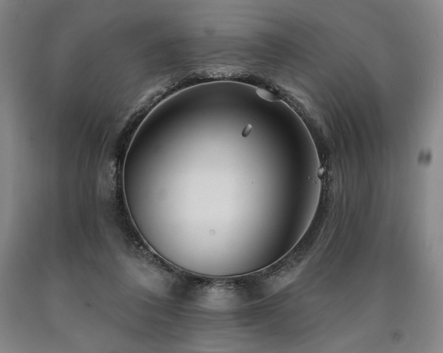 X0000090930308200707301601