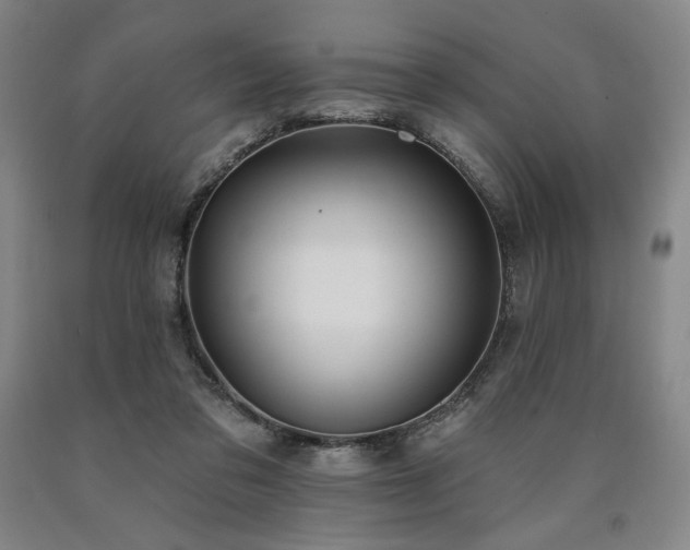 X0000090930309200707301601