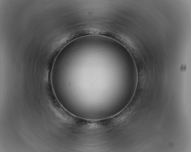 X0000090930310200707301601