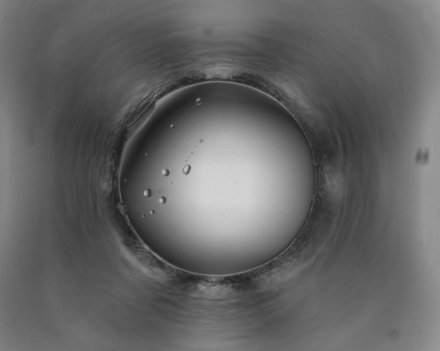 X0000090930311200707301601