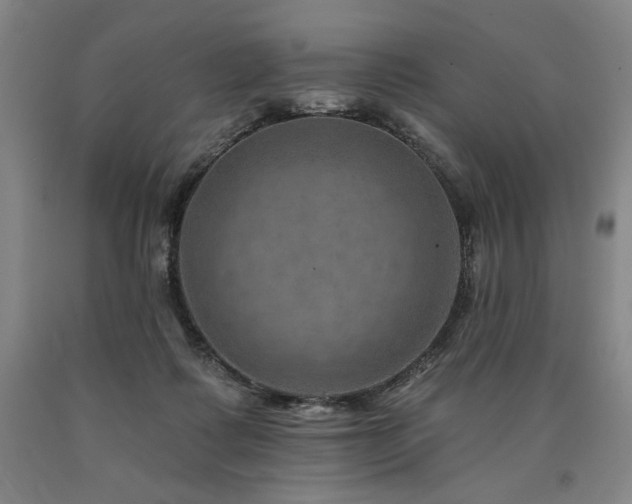 X0000090930315200707301601