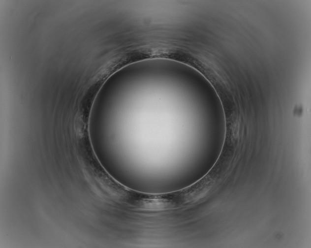 X0000090930316200707301601