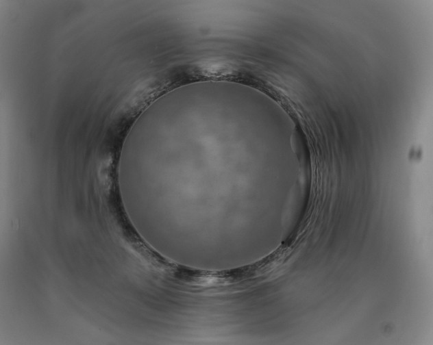 X0000090930319200707301601