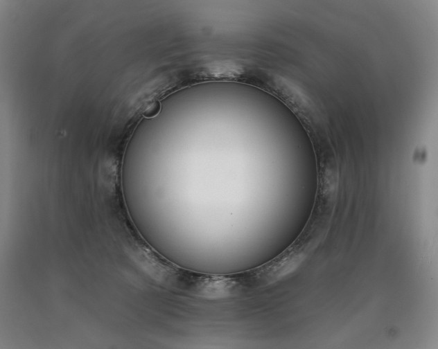 X0000090930321200707301601