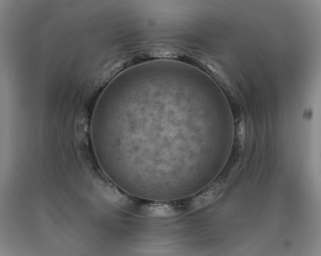 X0000090930322200707301601