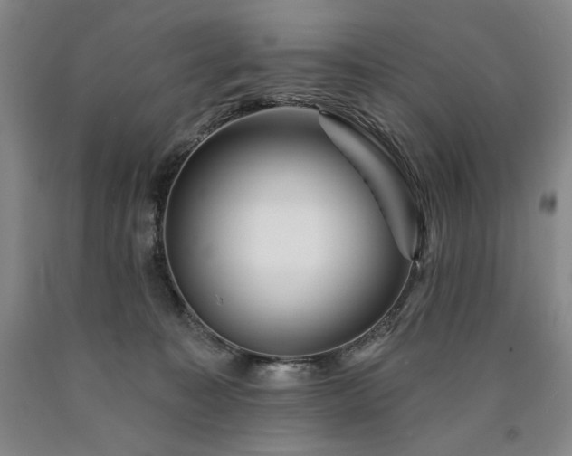 X0000090930323200707301601