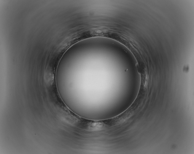 X0000090930324200707301601