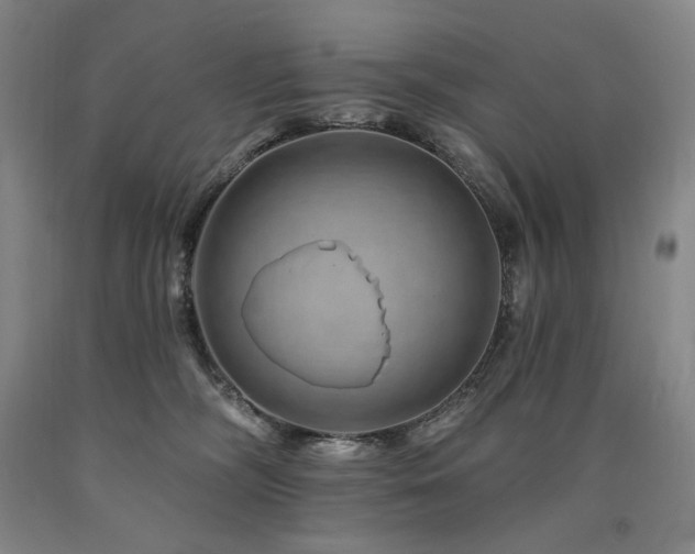 X0000090930326200707301601