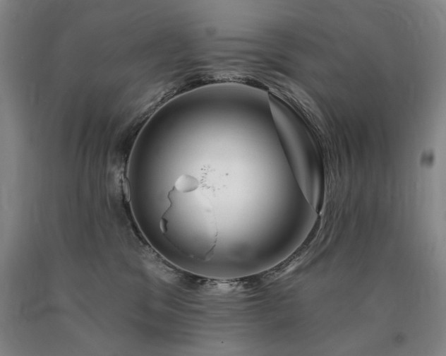 X0000090930329200707301600