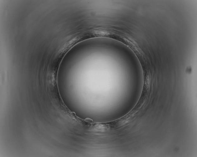X0000090930330200707301600