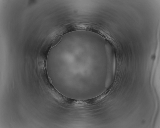 X0000090930331200707301600