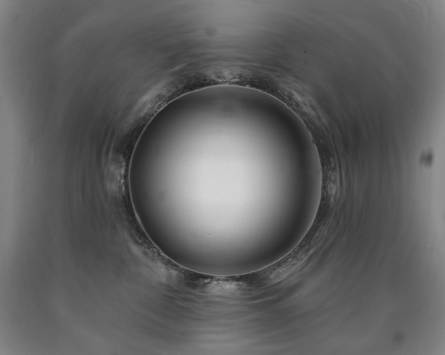 X0000090930332200707301600