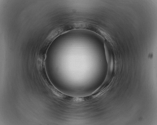 X0000090930333200707301600
