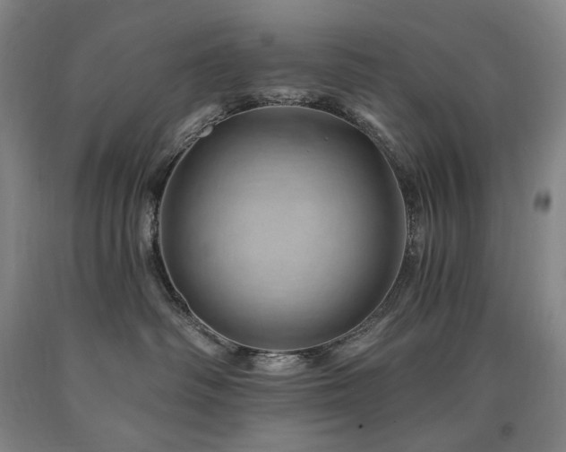 X0000090930334200707301600