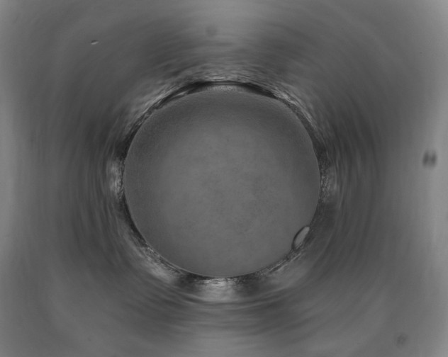 X0000090930335200707301600