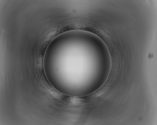 X0000090930336200707301600