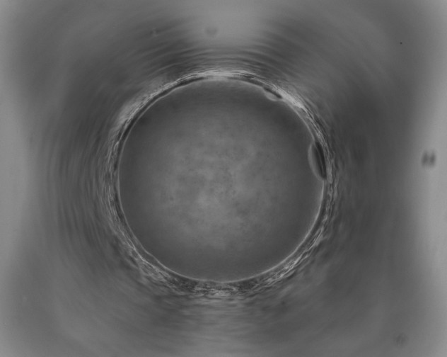 X0000090930337200707301600