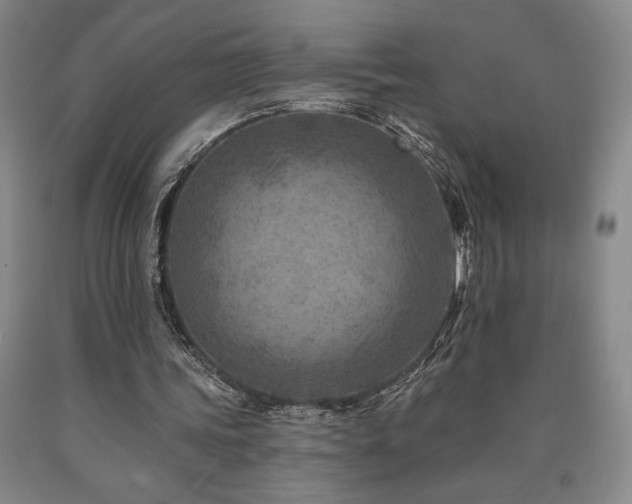 X0000090930339200707301600