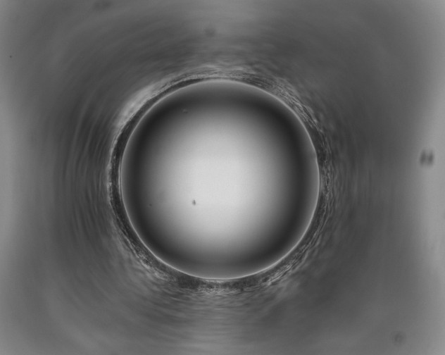 X0000090930340200707301600