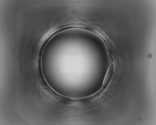 X0000090930344200707301600