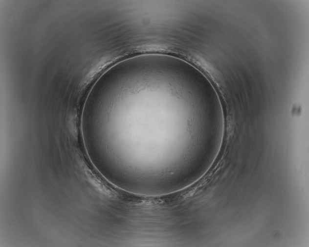 X0000090930345200707301600