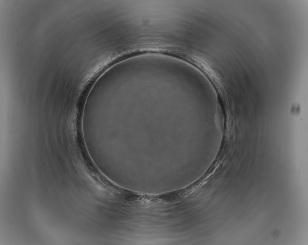 X0000090930346200707301600