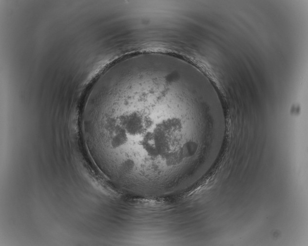 X0000090930347200707301600