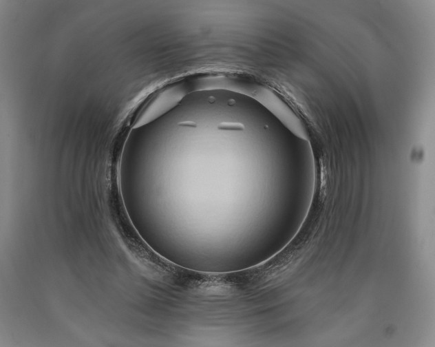 X0000090930348200707301600